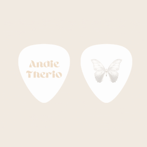 PICK DE GUITARE (paquet de 5) - ANDIE THERIO